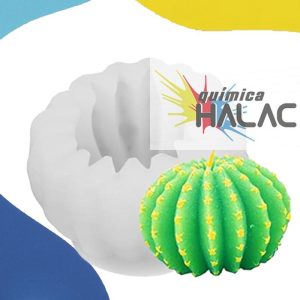 Cactus molde