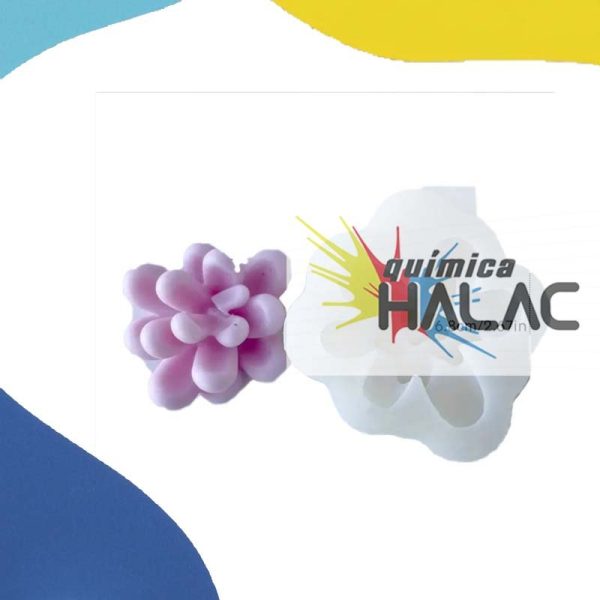 Molde de Suculentas – Química Halac Córdoba